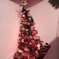 Lidija trajkovska profile picture