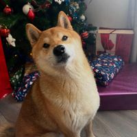 Karla profile picture
