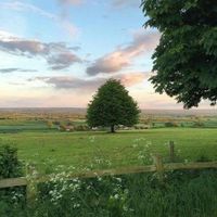 amelia williams profile picture