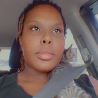 Ashley profile picture