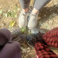 JustABoyMom profile picture