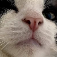 Alyssa La profile picture