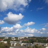 Lejla profile picture
