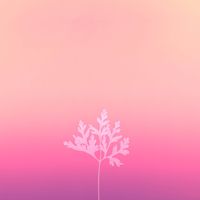 Happy Hues profile picture