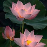 Cristina Ponce profile picture