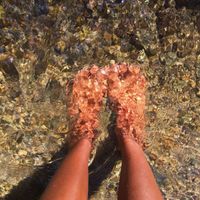 Wellness_Wave_Wholesome_Wonders Emporium profile picture