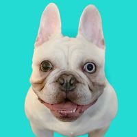 Theo profile picture