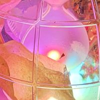 Teacups profile picture