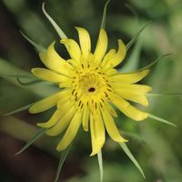 We Bloom Together profile picture