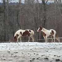 Kat Ludewig profile picture