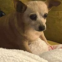 🎀😈Evil Barbie😈🎀 profile picture