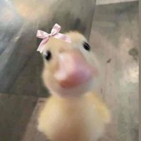 Emily Grace Lee💕 profile picture