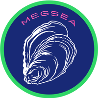 MEGSEA profile picture