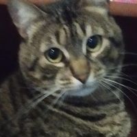 Mar R. profile picture