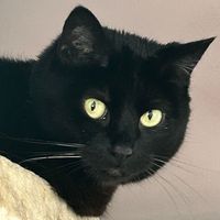 Tina  Chadwick profile picture