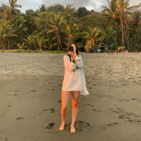 Lisanne van Hoek profile picture