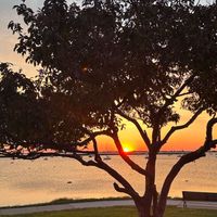 Lifestyle Collective profile picture