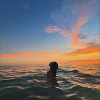 zariana 🐆 profile picture