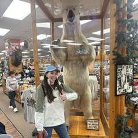 Claire Elizabeth profile picture