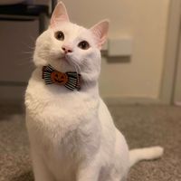 Murray Martinez profile picture