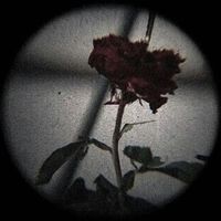 Mariam profile picture