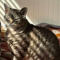 Jessica Monto profile picture
