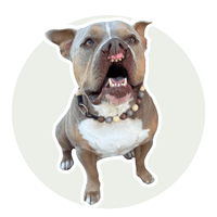 Kayla Knox profile picture