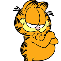 ShellyCat profile picture