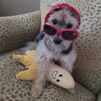 Charla Trujillo profile picture