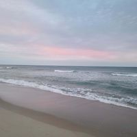 hailey profile picture