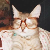 Miley Kay profile picture