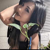 Elisha Luna Ruiz profile picture