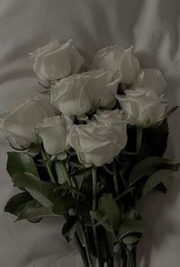 Nina profile picture