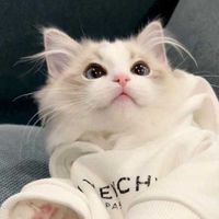Ai Safitri profile picture