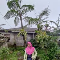 Dita Diniyati profile picture