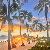 Heidi Mays profile picture