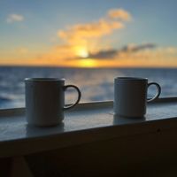 Heidi Mays profile picture