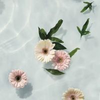 Dina herliani profile picture