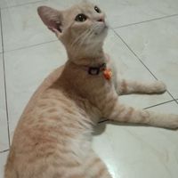 Tiwi_r profile picture
