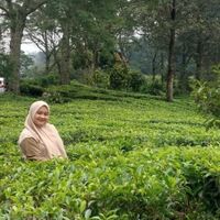 pransiskamaulana profile picture