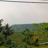 Dhifa profile picture