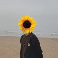 Aryvaldho profile picture