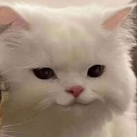 Nana profile picture