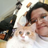 Rr Meylina Paramitha. N profile picture