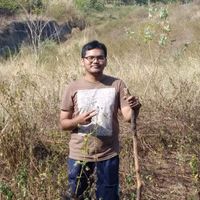 FianAhlush profile picture