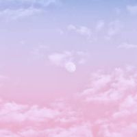 Pampam profile picture