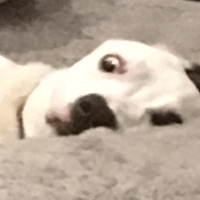 Jake Summer profile picture