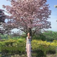 Veronika profile picture