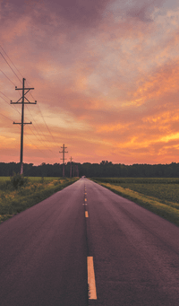 ZOOLIKEZ profile picture