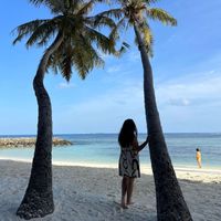 _kaut profile picture